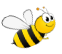 Apicola Distrinorte